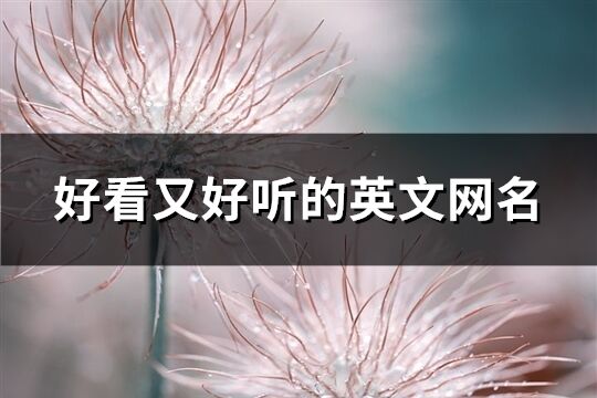 好看又好聽的英文網名(共87個)