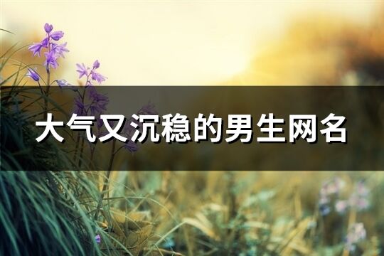 大氣又沉穩(wěn)的男生網(wǎng)名(共622個)