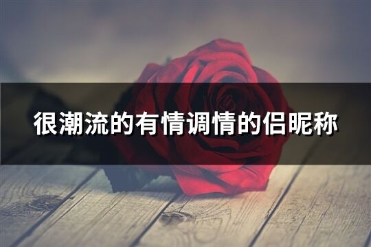 很潮流的有情調情的侶昵稱(精選35個)