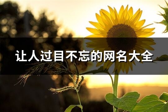 讓人過目不忘的網名大全(優選294個)