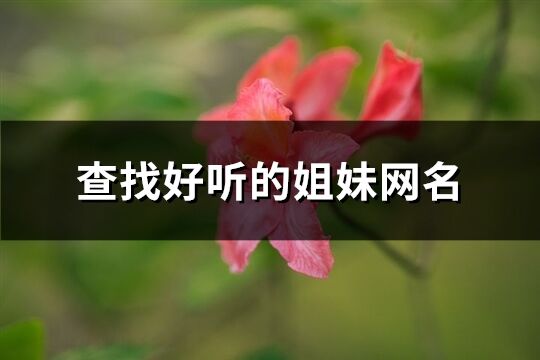 查找好聽(tīng)的姐妹網(wǎng)名(284個(gè))