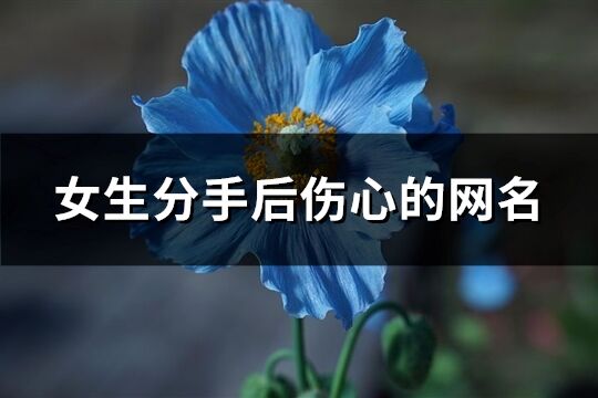 女生分手后傷心的網(wǎng)名(精選107個(gè))