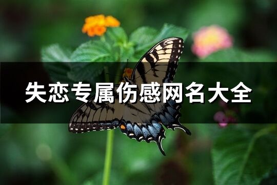 失戀專屬傷感網名大全(574個)