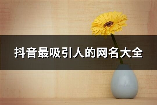 抖音最吸引人的網名大全(優選2097個)