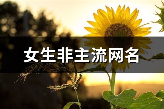 女生非主流網名(優選130個)