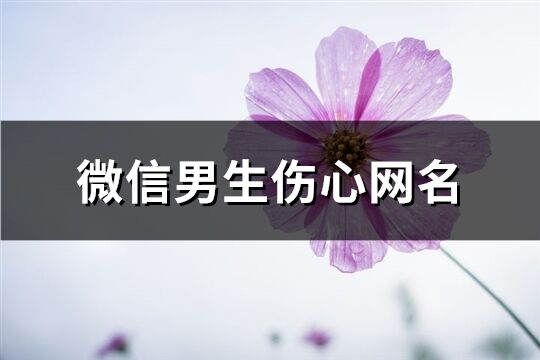 微信男生傷心網名(共691個)