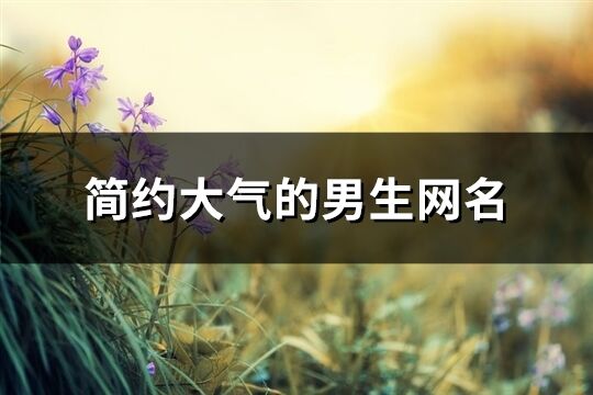 簡約大氣的男生網名(共129個)