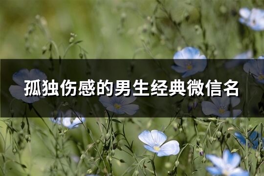 孤獨傷感的男生經典微信名(214個)