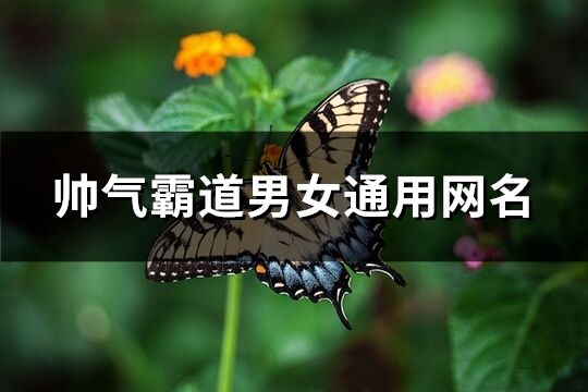 帥氣霸道男女通用網(wǎng)名(277個)