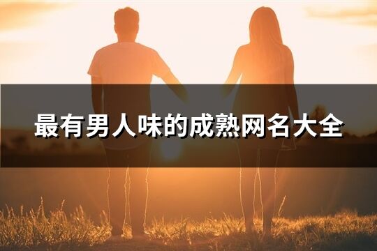 最有男人味的成熟網名大全(優選516個)