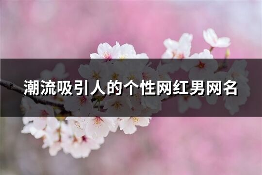 潮流吸引人的個性網紅男網名(優選367個)