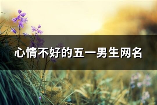 心情不好的五一男生網名(共233個)