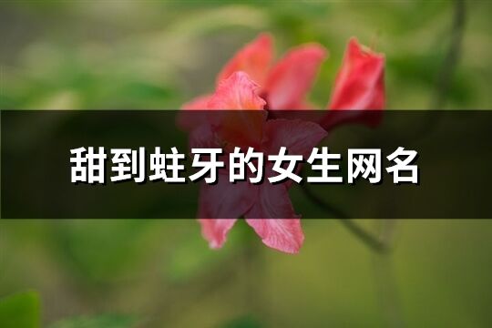甜到蛀牙的女生網(wǎng)名(精選111個)