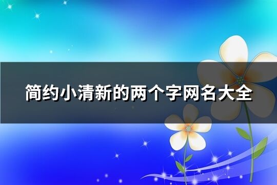 簡約小清新的兩個字網(wǎng)名大全(優(yōu)選457個)