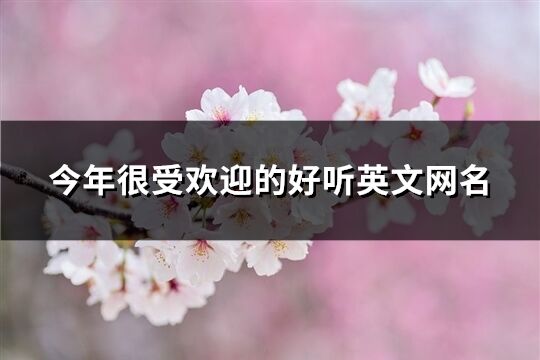 今年很受歡迎的好聽英文網名(共498個)