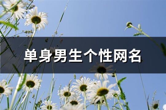 單身男生個性網名(362個)