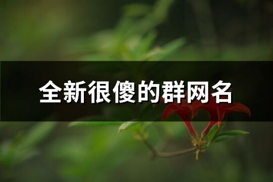 全新很傻的群網名(67個)