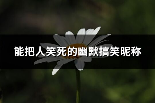能把人笑死的幽默搞笑昵稱(優(yōu)選248個(gè))