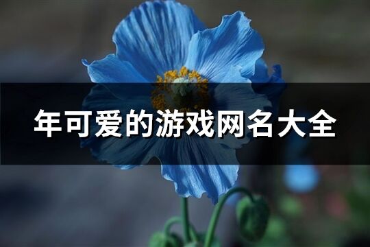 年可愛(ài)的游戲網(wǎng)名大全(精選326個(gè))