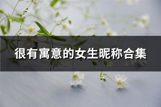 很有寓意的女生昵稱合集(精選251個)