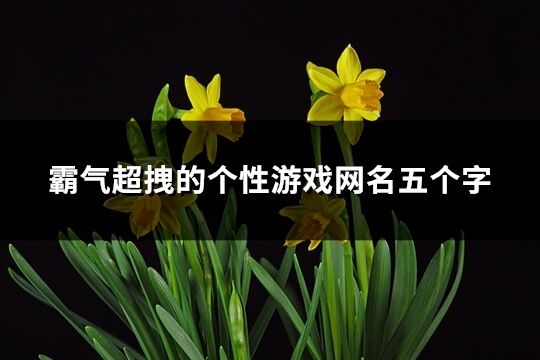 霸氣超拽的個性游戲網(wǎng)名五個字(740個)