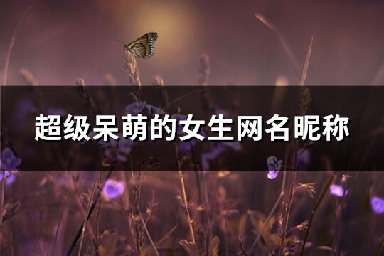 超級呆萌的女生網名昵稱(共90個)