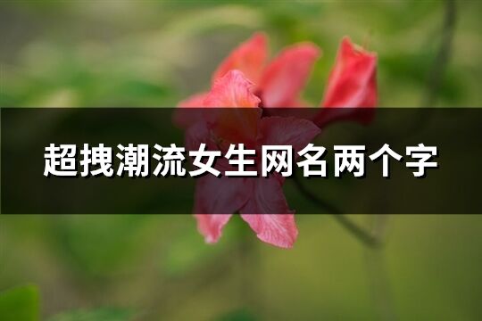 超拽潮流女生網名兩個字(精選317個)