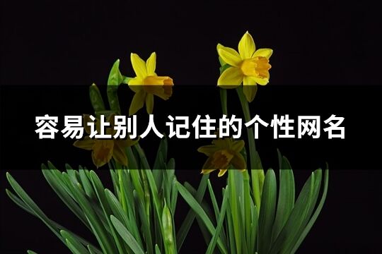 容易讓別人記住的個性網(wǎng)名(96個)