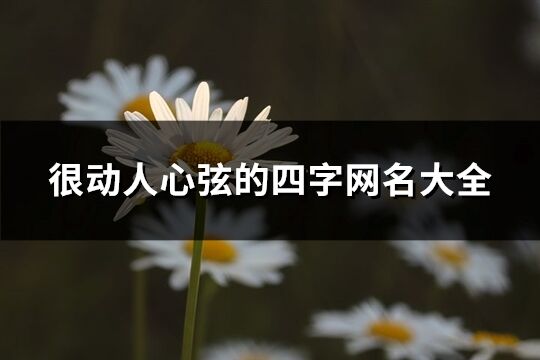 很動人心弦的四字網名大全(精選308個)