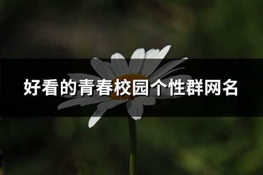 好看的青春校園個性群網名(共106個)