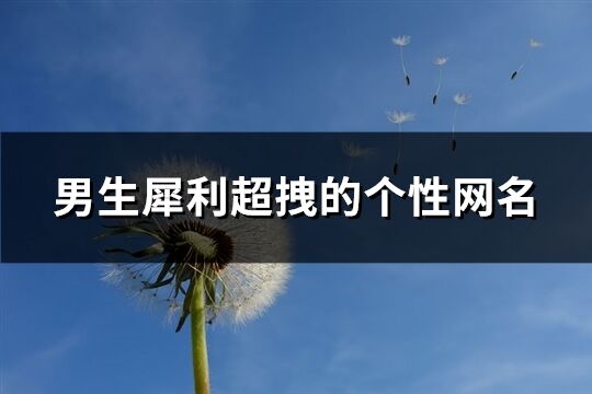 男生犀利超拽的個性網(wǎng)名(精選303個)