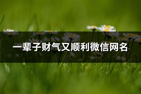 一輩子財氣又順利微信網名(405個)