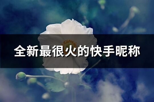 全新最很火的快手昵稱(精選830個)