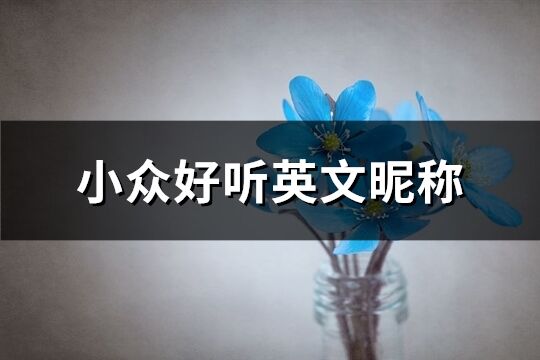 小眾好聽英文昵稱(優選147個)