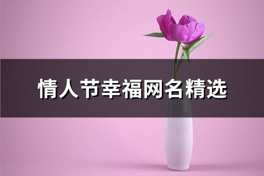 情人節(jié)幸福網(wǎng)名精選(精選215個(gè))