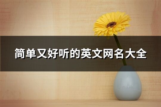 簡單又好聽的英文網名大全(共372個)