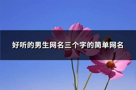 好聽(tīng)的男生網(wǎng)名三個(gè)字的簡(jiǎn)單網(wǎng)名(共144個(gè))