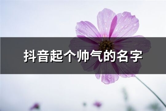 抖音起個帥氣的名字(共384個)