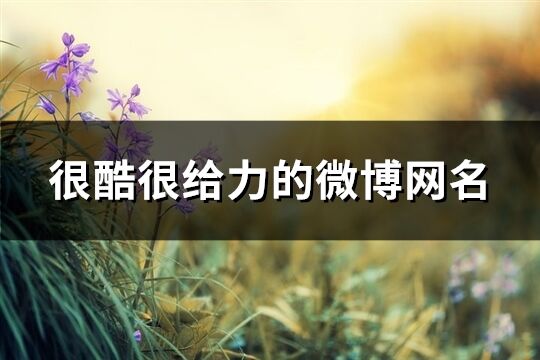 很酷很給力的微博網名(389個)