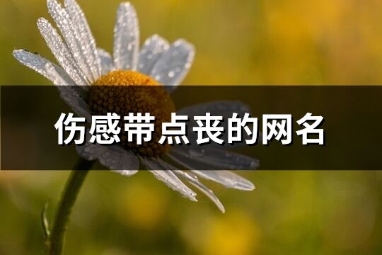 傷感帶點喪的網(wǎng)名(精選326個)