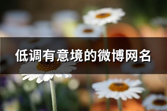 低調有意境的微博網名(176個)