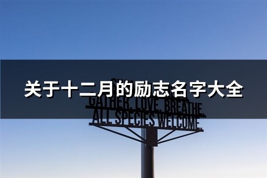 關(guān)于十二月的勵志名字大全(優(yōu)選95個)