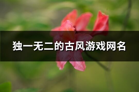 獨一無二的古風游戲網名(精選634個)