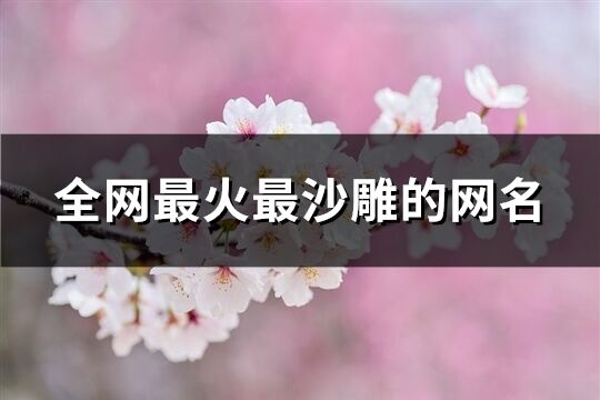 全網最火最沙雕的網名(優選171個)