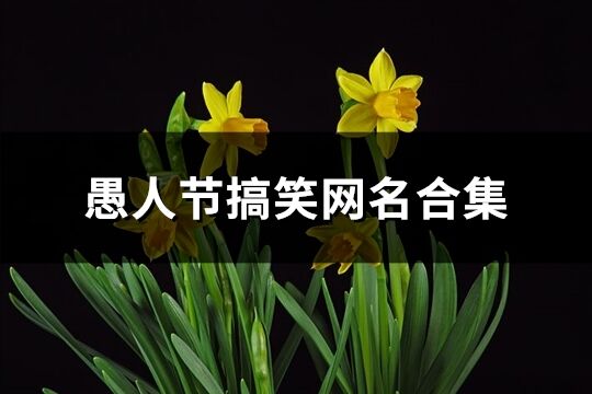 愚人節搞笑網名合集(共100個)