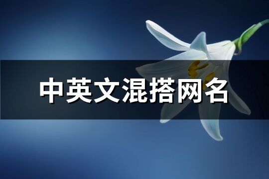 中英文混搭網名(優選218個)