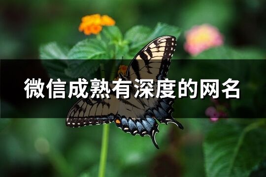 微信成熟有深度的網(wǎng)名(精選577個(gè))