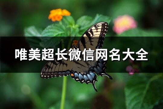 唯美超長微信網名大全(優(yōu)選340個)