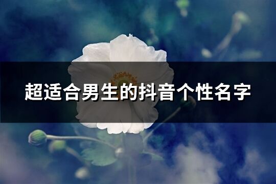 超適合男生的抖音個性名字(優選1055個)