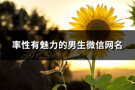 率性有魅力的男生微信網名(617個)